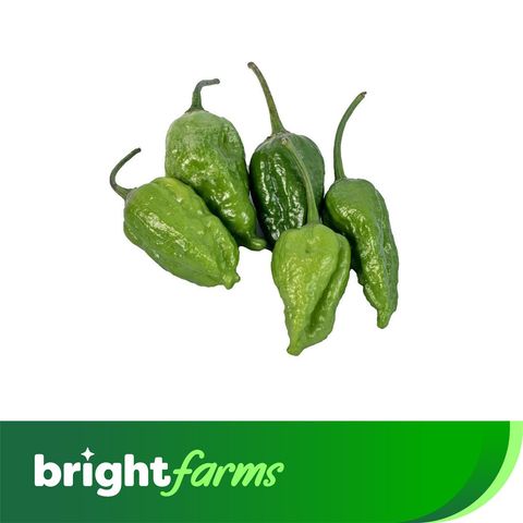 brightfarms Bombay Chili 5 Pieces