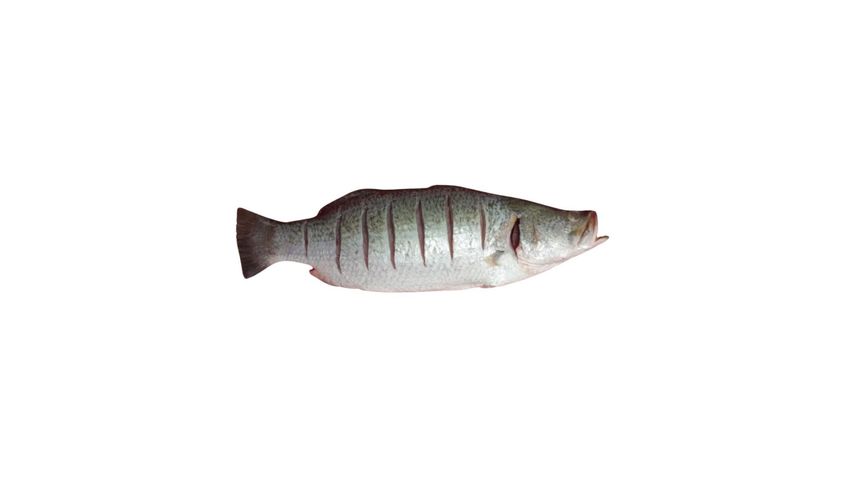 Sundarbans Premium Bbq Bhetki Or Koral Whole Clean Fish 500g