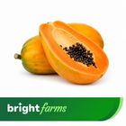brightfarms Jhum Pahari Papaya Red Lady 1kg ±50g