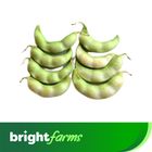 brightfarms Flat Bean (Sheem) with seeds 500g (± 30g)