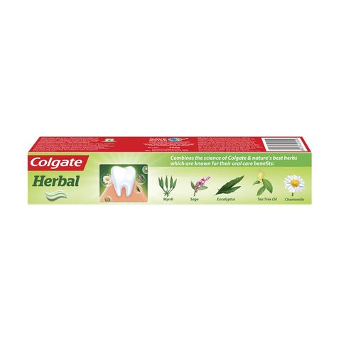 Colgate Herbal Toothpaste 100g