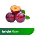brightfarms Plum Imported 380g ± 20g