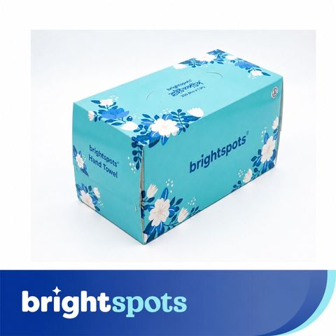 brightspots Hand Towel Box 250 Sheets Assorted