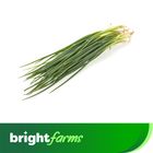 brightfarms Spring Onion Peyaj Pata 250g ± 12g