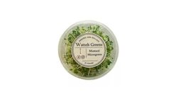 Watteh Greens Mustard Micro Green 25g