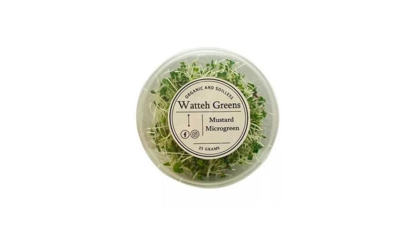 Watteh Greens Mustard Micro Green 25g