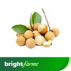 brightfarms Longan Fresh 500g (± 20g)