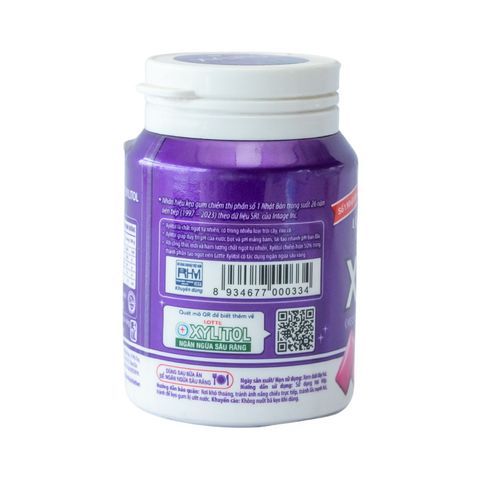 Lotte Xylitol Handy Bottle Blueberry Mint 55.1g