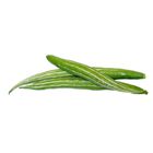 Snake Gourd Chichinga (Kolatia) 500g ± 20g