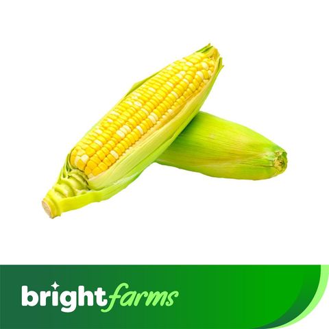 brightfarms Sweet Corn Mishti Bhutta 2 Pieces