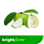 brightfarms Guava Premium 1kg (±50g)