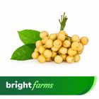 brightfarms Burmese Grape (Lotkon)500g ±20g
