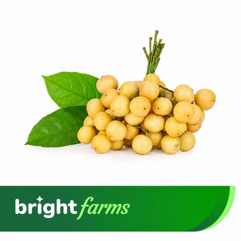 brightfarms Burmese Grape (Lotkon)500g ±20g