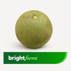 brightfarms Jambura Pomelo 1 Piece