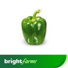 brightfarms Capsicum Green Per Pc 150g ±10g