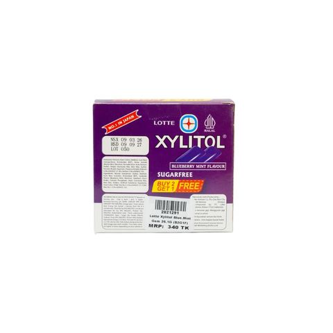 Buy 2, Get 1 Free Lotte Xylitol Mini Bottle Blueberry Mint 26.1g
