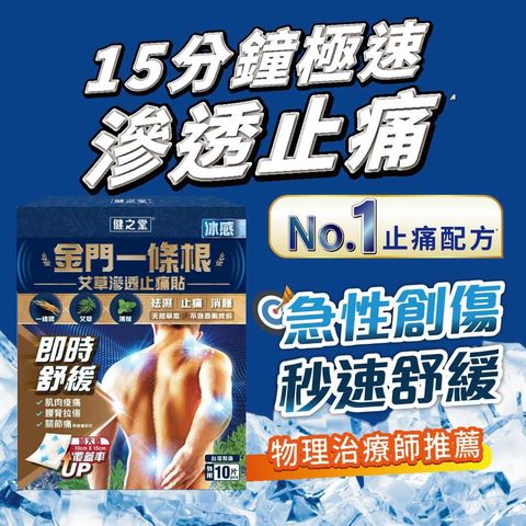 Healthall Chinese Herbal Pain Relief Patch (Ice Cooling) 10pcs