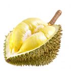 Vietnam Golden Pillow Durian 1pc (If not ripe, please leave for 3–4 days to ripen before eating)