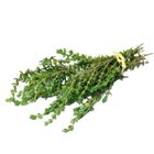 Kenya Thyme (1 Pack) Approx. 20g