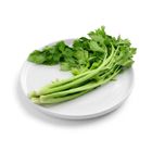 brightfarms 唐芹 (1包) 約150克
