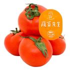 蔬菜先生 包裝蕃茄 (中國) (1磅) 1包