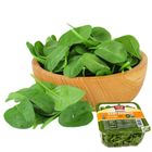 Fresh Express Organic Baby Spinach (USA) 1 Pack