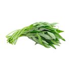 Brightfarms Morning Glory (1 Pack) Approx. 300g