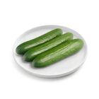 Brightfarms Mini Cucumber (1 Pack) Approx. 380g