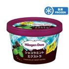 Haagen-dazs 特濃薄荷朱古力雪糕迷你杯 110毫升
