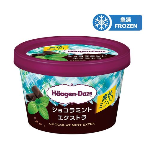 Haagen-dazs 特濃薄荷朱古力雪糕迷你杯 110毫升