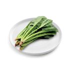 Brightfarms 菠菜 約350克