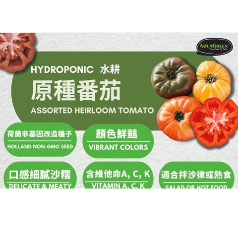 Aqua Green Assorted Heirloom Tomato 1 Pack