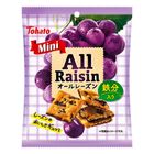 Tohato Raisin Cookies 41g [Parallel Import]