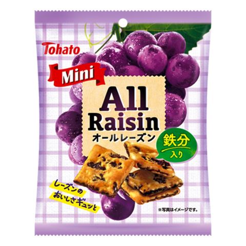 Tohato Raisin Cookies 41g [Parallel Import]