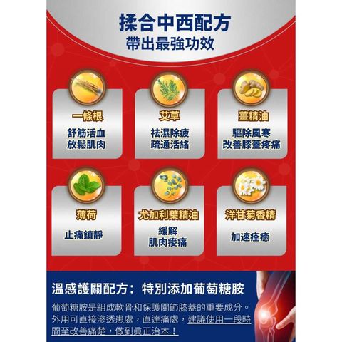 Healthall Chinese Herbal Pain Relief Patch (Hot Warming) 10pcs