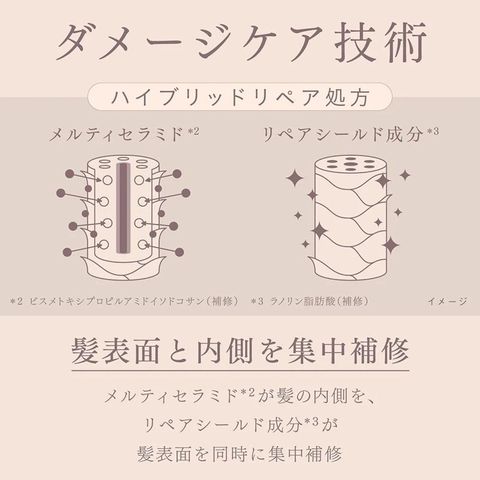 Kao Moisturizing Shampoo (Pump Type) 480ml [Parallel Import]