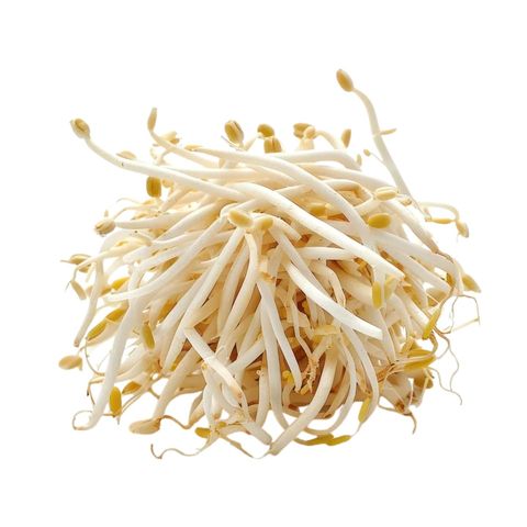 Brightfarms Bean Sprouts (1 Pack) Approx. 300g