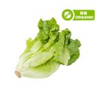 泰國 Tropical Premium 有機牛油生菜 150克