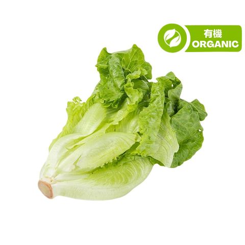 泰國 Tropical Premium 有機牛油生菜 150克