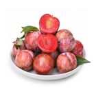 China Red Plum 1 pack approx. 500g (6-8pcs)
