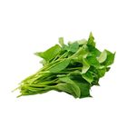 Brightfarms 番薯葉 1包 約400克