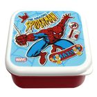 Spider-man Child Mini Box (9cm x 9cm x 4.5cm)