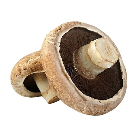 Brightfarms Portobello Mushroom (1 Pack) Approx. 180g
