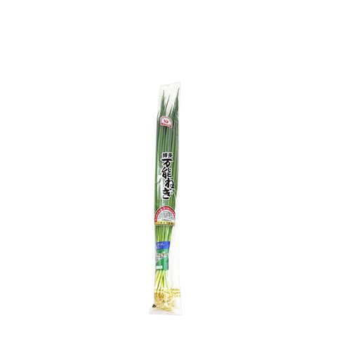 Japan Hakata Spring Onion (Naganegi) Approx. 350g