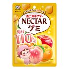 Fujiya Nectar Gummy Mixed Fruits Flavor 54g [Parallel Import]