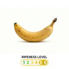 [Brown Spots] Philippines Del Monte Banana 1 pc Approx. 100g