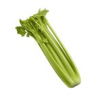 Brightfarms Celery Approx. 480g