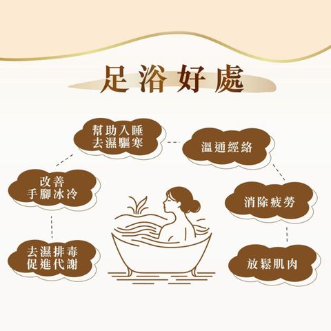 健之堂 消水去肥艾草足湯 (足浴液) (泡浴兩用) 1包