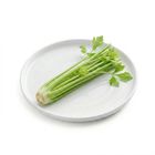 Brightfarms 西芹 約480克