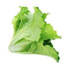 Brightfarms 生菜苗 1包 約250克